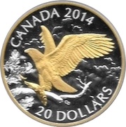 20 Dollars - Elizabeth II Perched Bald Eagle, Canada, 2014 reverse image