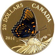 20 Dollars - Elizabeth II Red-Spotted Purple Butterfly, Canada, 2014 reverse image