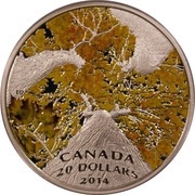 20 Dollars - Elizabeth II Autumn Allure, Canada, 2014 reverse image