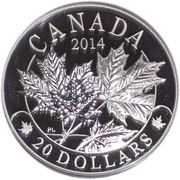 20 Dollars - Elizabeth II Majestic Maple Leaves, Canada, 2014 reverse image