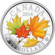 20 Dollars - Elizabeth II Majestic Maple Leaves, Canada, 2014 reverse image