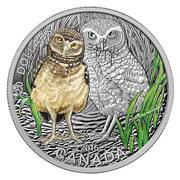 20 Dollars - Elizabeth II Baby Burrowing Owl, Canada, 2015 reverse image