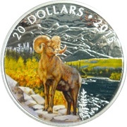 20 Dollars - Elizabeth II Bighorn Sheep, Canada, 2015 reverse image