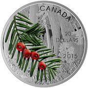 20 Dollars - Elizabeth II Columbian Yew Tree, Canada, 2015 reverse image