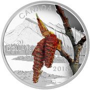 20 Dollars - Elizabeth II Boreal Balsam Poplar, Canada, 2015 reverse image