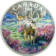 20 Dollars - Elizabeth II Misty Morning Mule Deer, Canada, 2015 reverse image