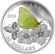 20 Dollars - Elizabeth II Giant Sulphur, Canada, 2015 reverse image