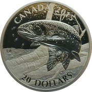 20 Dollars - Elizabeth II Rainbow Trout, Canada, 2015 reverse image