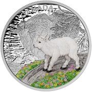 20 Dollars - Elizabeth II La chèvre de montagne, Canada, 2015 reverse image