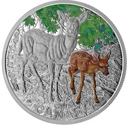 20 Dollars - Elizabeth II Baby Deer, Canada, 2015 reverse image