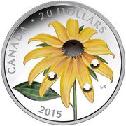 20 Dollars - Elizabeth II Black-Eyed Susan, Canada, 2015 reverse image