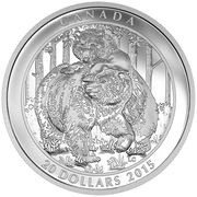 20 Dollars - Elizabeth II Togetherness, Canada, 2015 reverse image