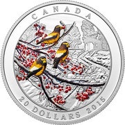 20 Dollars - Elizabeth II Winter Freeze, Canada, 2015 reverse image