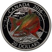 20 Dollars - Elizabeth II Arctic Char, Canada, 2016 reverse image