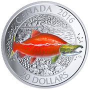 20 Dollars - Elizabeth II Sockeye Salmon, Canada, 2016 reverse image