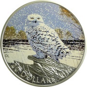 20 Dollars - Elizabeth II Snowy Owl, Canada, 2016 reverse image
