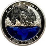20 Dollars - Elizabeth II Polar Bear, Canada, 2016 reverse image