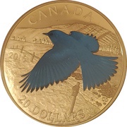 20 Dollars - Elizabeth II The Mountain Bluebird, Canada, 2016 reverse image