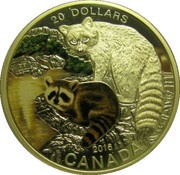 20 Dollars - Elizabeth II Raccoon, Canada, 2016 reverse image