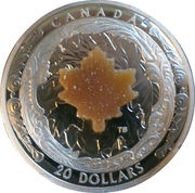 20 Dollars - Elizabeth II Majestic Maple Leaves, Canada, 2016 reverse image