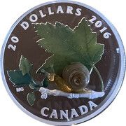 20 Dollars - Elizabeth II Snail, Canada, 2016 reverse image