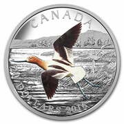 20 Dollars - Elizabeth II American Avocet, Canada, 2016 reverse image