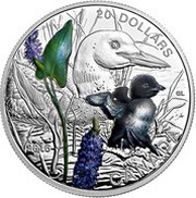 20 Dollars - Elizabeth II Common Loon, Canada, 2016 reverse image