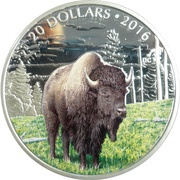 20 Dollars - Elizabeth II The Benevolent Bison, Canada, 2016 reverse image