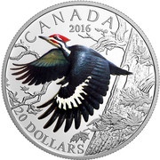 20 Dollars - Elizabeth II Pileated Woodpecker, Canada, 2016 reverse image