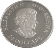 20 Dollars - Elizabeth II Maple leaf maze obverse image