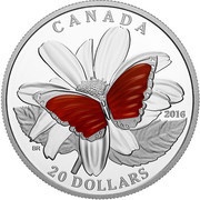 20 Dollars - Elizabeth II Colorful Wings of a Butterfly, Canada, 2016 reverse image