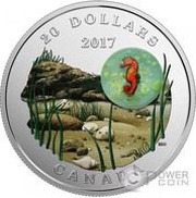 20 Dollars - Elizabeth II Seahorse, Canada, 2017 reverse image