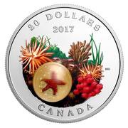 20 Dollars - Elizabeth II Seastar, Canada, 2017 reverse image