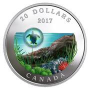 20 Dollars - Elizabeth II Seaturtle, Canada, 2017 reverse image
