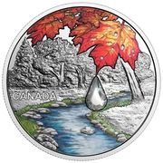 20 Dollars - Elizabeth II Jewel of the Rain: Sugar Maple Leaves, Canada, 2017 reverse image