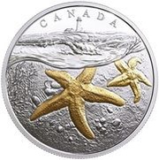 20 Dollars - Elizabeth II Atlantic Starfish, Canada, 2017 reverse image