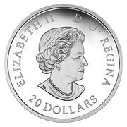 20 Dollars - Elizabeth II Protecting Our Future obverse image