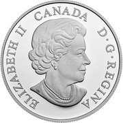 20 Dollars - Elizabeth II Black Bear obverse image