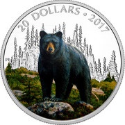 20 Dollars - Elizabeth II Black Bear, Canada, 2017 reverse image