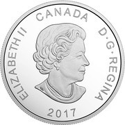 20 Dollars - Elizabeth II Polar Bear obverse image