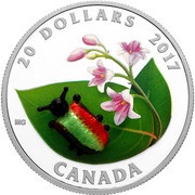 20 Dollars - Elizabeth II Dogbane Beetle, Canada, 2017 reverse image