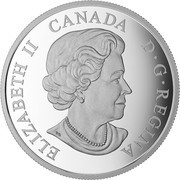 20 Dollars - Elizabeth II Birch Leaves obverse image