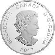 20 Dollars - Elizabeth II Arctic Tern obverse image