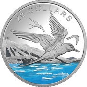 20 Dollars - Elizabeth II Arctic Tern, Canada, 2017 reverse image