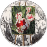 20 Dollars - Elizabeth II Springtime Gifts, Canada, 2017 reverse image