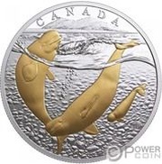 20 Dollars - Elizabeth II Arctic Beluga Whale, Canada, 2018 reverse image