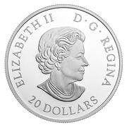 20 Dollars - Elizabeth II Maple Leaves Brooch obverse image