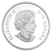 20 Dollars - Elizabeth II Snowy Owls obverse image
