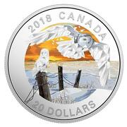 20 Dollars - Elizabeth II Snowy Owls, Canada, 2018 reverse image