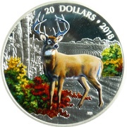20 Dollars - Elizabeth II Wandering White-tailed Deer, Canada, 2018 reverse image
